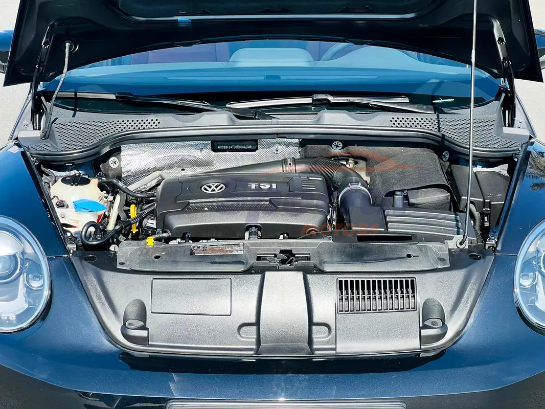 
								Volkswagen Beetle Black Launch Edition full									