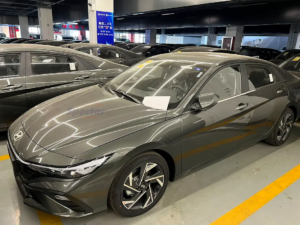 Hyundai Elantra GLX Elite