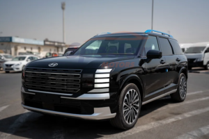 Hyundai Palisade Calligraphy
